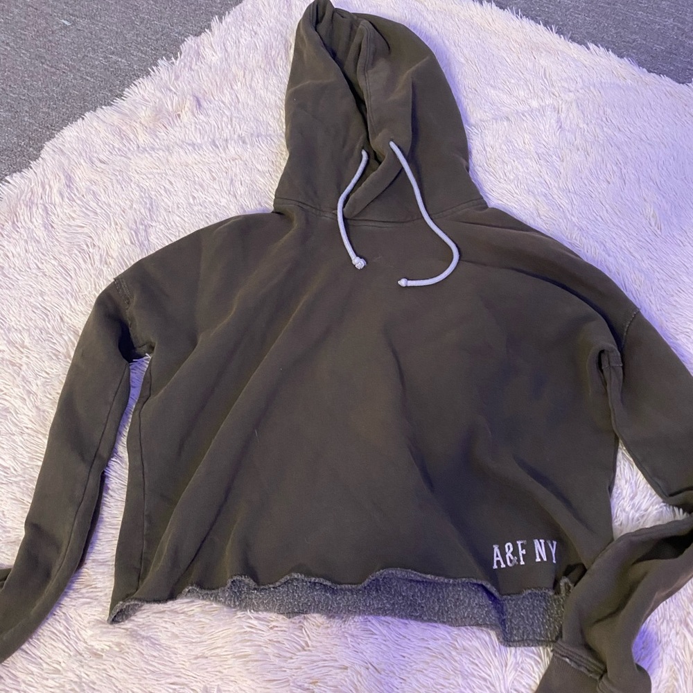 Abercrombie and Fitch crop top hoodie